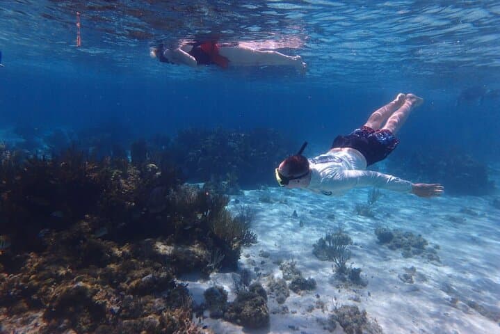 Private Stingray City & Coral Gardens Snorkel with Local Captain in Grand Cayman photo 3