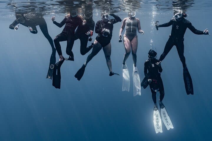 Up-Close Humpbacks: Moorea Half-Day Whale-Watching and Snorkel photo 3