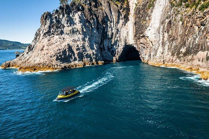 Cathedral Cove & Volcanic Coast 2-Hour Shade-Canopy Cruise (Whitianga) photo 2