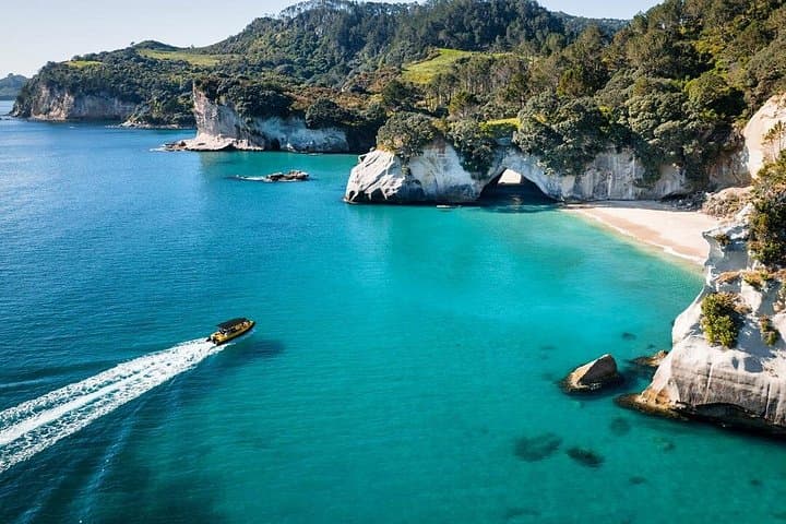 Cathedral Cove & Volcanic Coast 2-Hour Shade-Canopy Cruise (Whitianga)