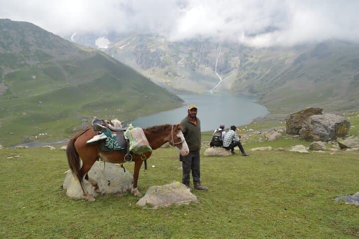 Kashmir Naranag to Marchoi Trek: 5-Day Guided Marchoi & Dumail Expedition photo 6