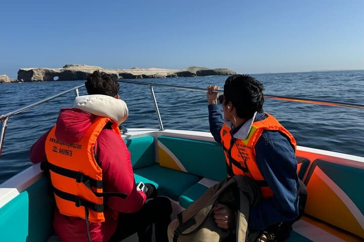 Paracas & Huacachina Full-Day: Ballestas Islands, Vineyard, Dunes & Sunset Picnic photo 4