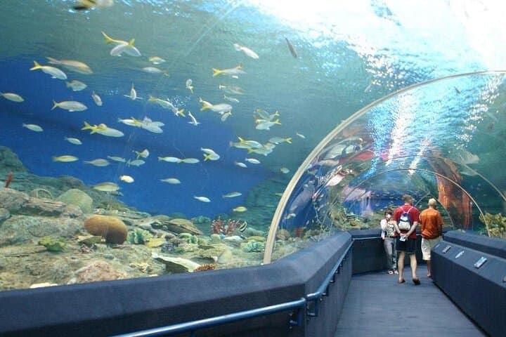 Explore Pattaya Underwater World: Aquarium Tickets with Private Transfer photo 3