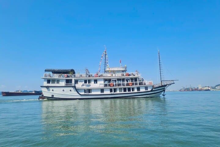 Overnight Cruise in Bai Tu Long Bay: 2-Day Renea Journey to Thien Canh Son Cave photo 4
