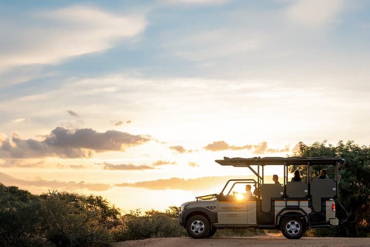 Private Full-Day Safari in Kruger National Park — Big Five Game Drive