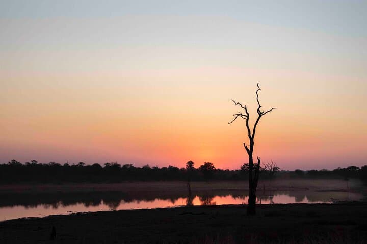 Private Full-Day Safari in Kruger National Park — Big Five Game Drive photo 5