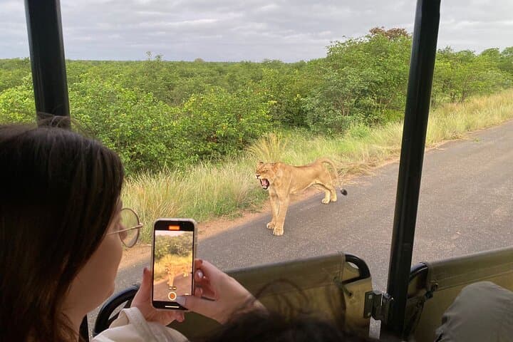 Private Full-Day Safari in Kruger National Park — Big Five Game Drive photo 2