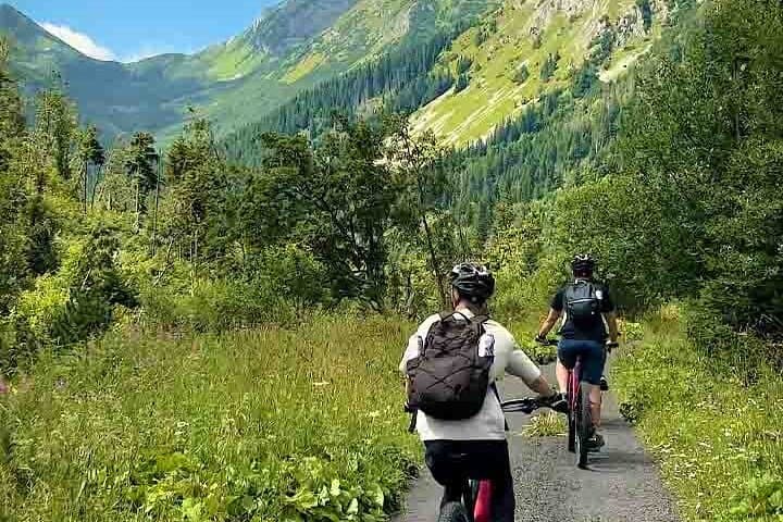 Cycling Bear Watching in the High Tatras: Podbanské Guided Day Tour photo 3