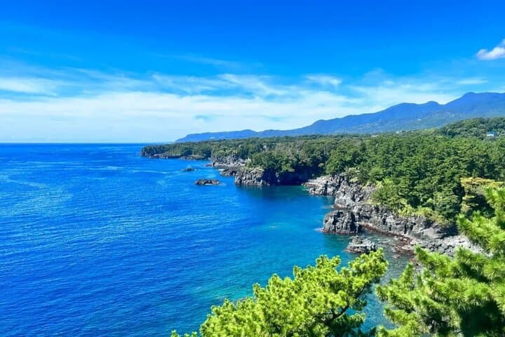 Izu Mount Omuro Day Tour — Atami Beach Line, Ropeway & Jogasaki Coast Guide photo 2