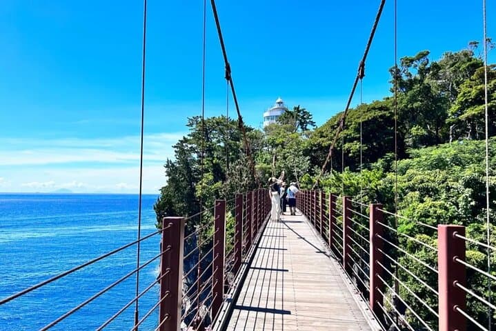 Izu Mount Omuro Day Tour — Atami Beach Line, Ropeway & Jogasaki Coast Guide photo 6