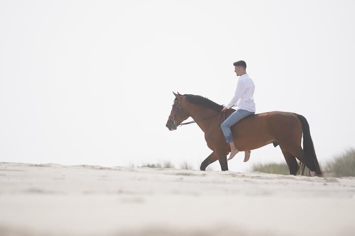 Beach Horseback Riding Adventure Near Porto — 1-Hour Coastal Ride photo 1