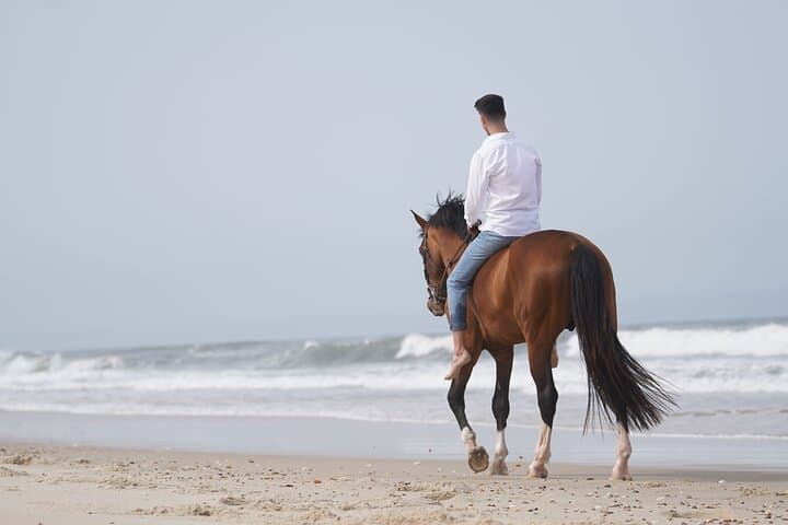 Beach Horseback Riding Adventure Near Porto — 1-Hour Coastal Ride photo 2
