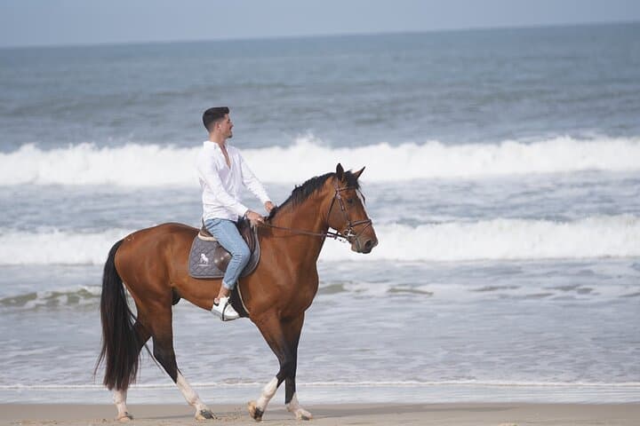 Beach Horseback Riding Adventure Near Porto — 1-Hour Coastal Ride photo 3