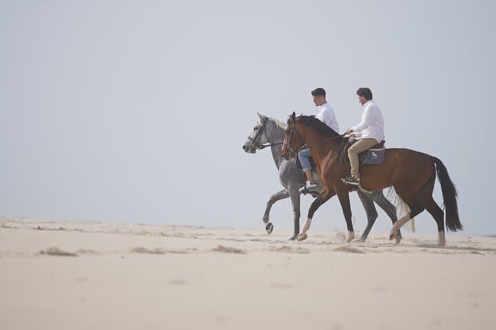 Beach Horseback Riding Adventure Near Porto — 1-Hour Coastal Ride photo 4