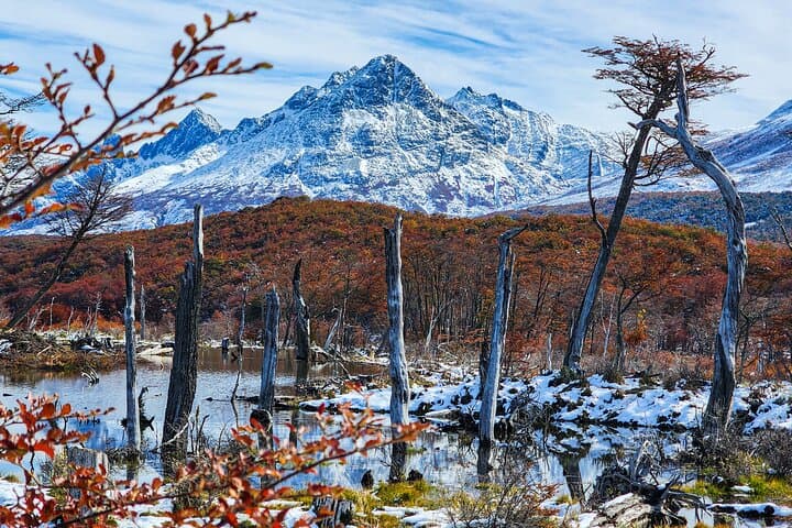 Trekking to Laguna Esmeralda: Emerald Lagoon Hike from Ushuaia photo 6