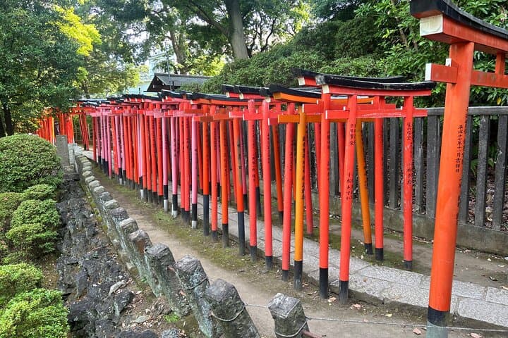 Yanaka Walking Tour: Traditional Backstreets, Temples & Nezu Shrine photo 3