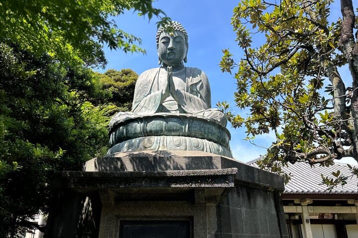 Yanaka Walking Tour: Traditional Backstreets, Temples & Nezu Shrine