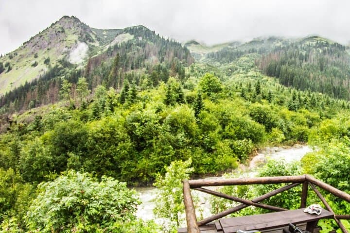 Cycling Bear Watching in the High Tatras: Podbanské Guided Day Tour photo 6