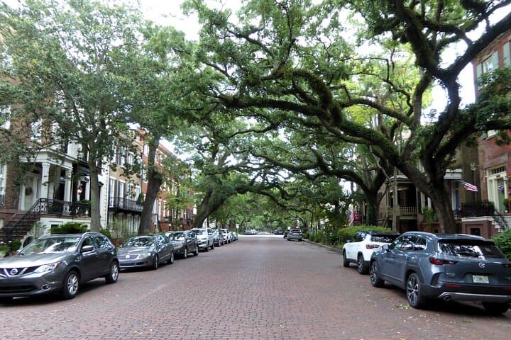 Explore Savannah’s Historic District: A Private Driving Tour Through Time and Culture photo 3