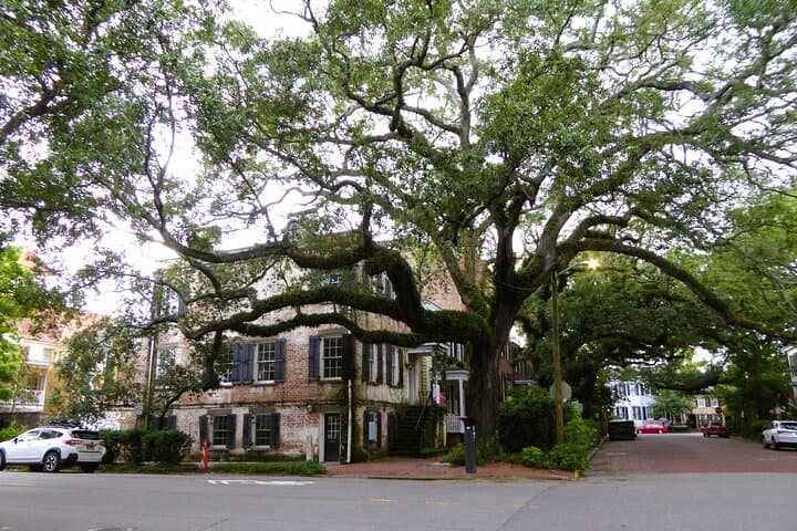 Explore Savannah’s Historic District: A Private Driving Tour Through Time and Culture photo 6