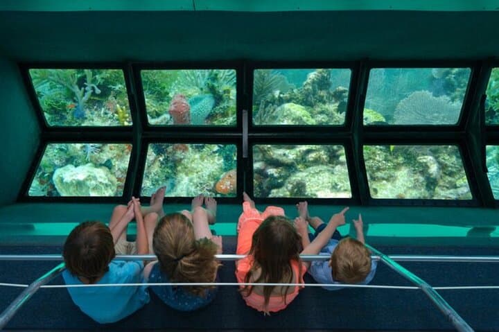 Glass-bottom boat and snorkel tour to Punta Cana's natural pool