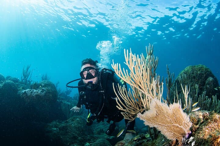 Experience Scuba in Puerto Rico — 2‑Hour Introductory Dive Lesson