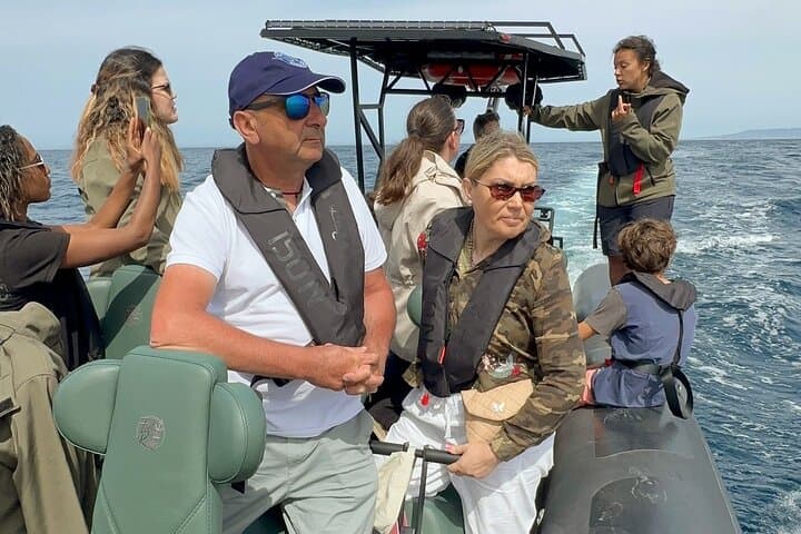 Dolphins in the Tejo — Lisbon Dolphin-Watching Cruise & River Sights photo 5