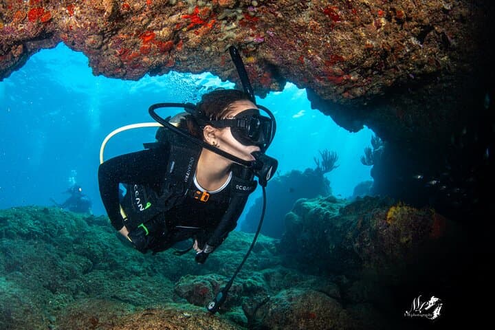 Experience Scuba in Puerto Rico — 2‑Hour Introductory Dive Lesson photo 2