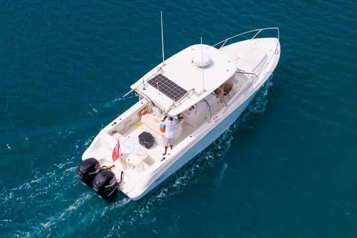 Grenada Private Boat Cruise: Snorkel, Fish & Rum Punch on a Luxury Boston Whaler photo 3