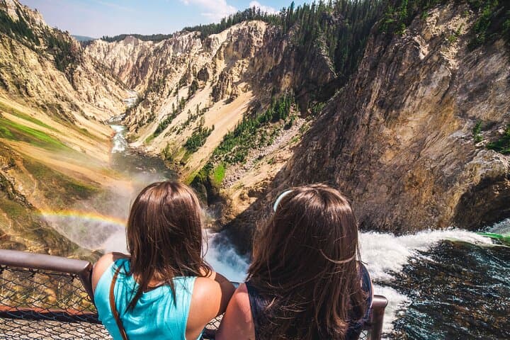 Predators of the Wild: Bear and Wolf Watching Adventure in Yellowstone's Lamar Valley photo 4