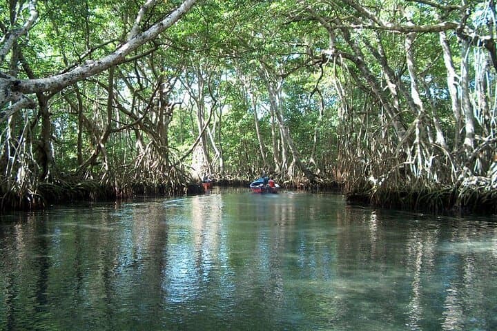 Blue Lagoon Adventure near Río San Juan — Swim, Jump & Local Lunch from Puerto Plata photo 5