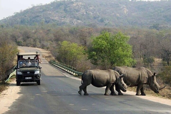 Tala Game Reserve, Natal Lion Park & Phezulu Safari — Day Tour from Durban