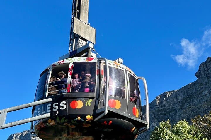 Full-Day Cape Peninsula Private Tour: Table Mountain, Cape Point & Boulders Penguins