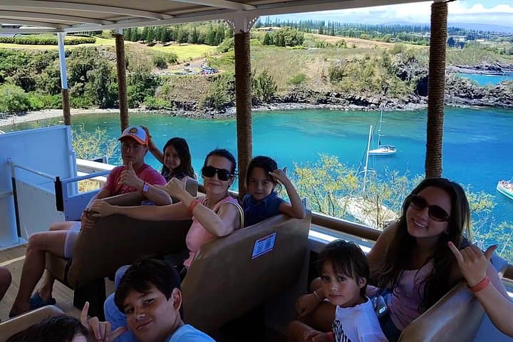 Open-Air West Maui Sightseeing: Banyan Tree, Honolua Bay & Nakalele Blowhole Tour photo 2