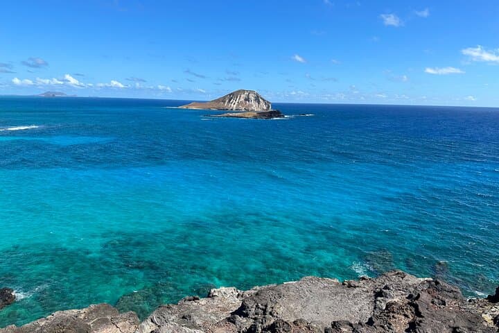 Oahu North Shore and Waikiki Small-Group Island Experience photo 4