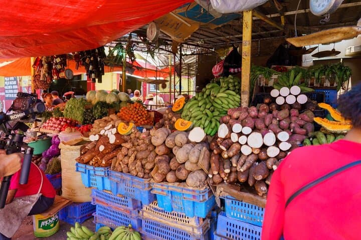 Discover the Heart of the Dominican Republic on a Half-Day Safari photo 4
