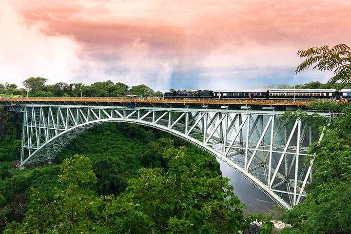 Victoria Falls Private Guided Walk: Big Tree & 16 Iconic Viewpoints