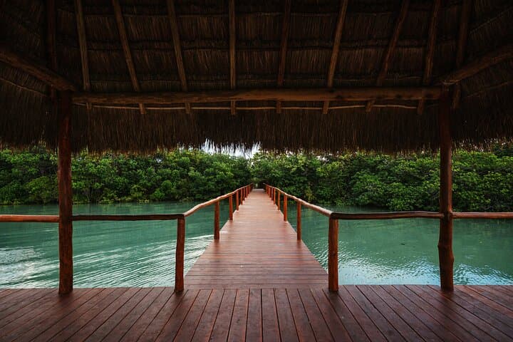 Sian Kaan Day Trip from Tulum — Dolphins, Turtles & Punta Allen photo 4