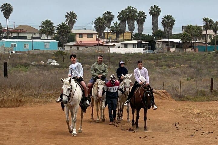 Bufadora Blowhole & Coastal Horseback Riding Adventure in Ensenada photo 4