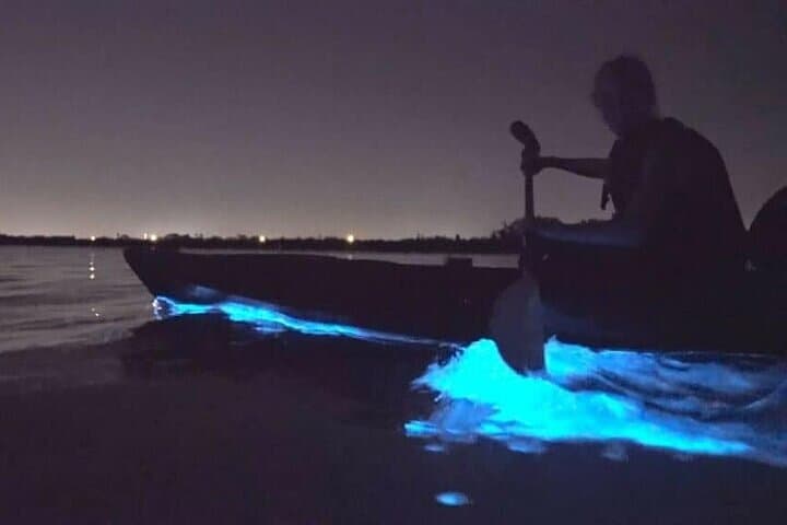 Holbox Bioluminescence Night Kayak & Stargazing Eco Tour