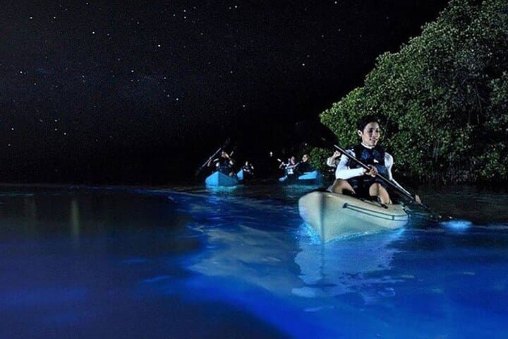 Holbox Bioluminescence Night Kayak & Stargazing Eco Tour photo 2