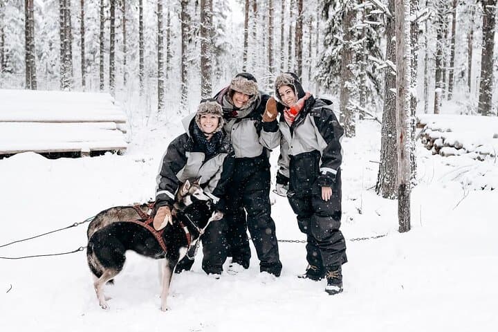 Self-Drive Husky Safari in Rovaniemi — Guided Sled Ride Through Lapland's Winter Forests photo 4
