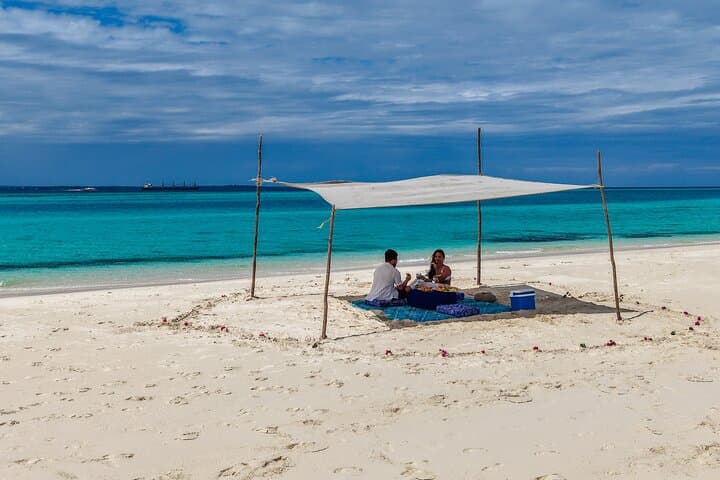 Private Sandbank Seafood Lunch and Snorkel from Stone Town, Zanzibar photo 2