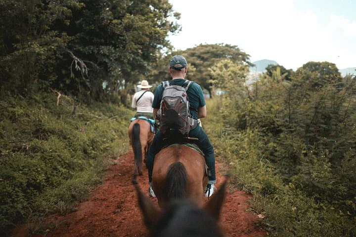Tulum Jungle Combo: ATV, Zipline, Horseback & Cenote Adventure photo 5
