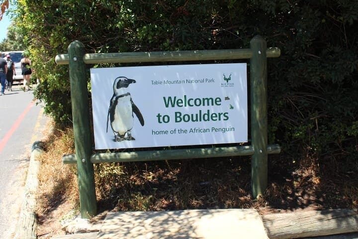 Cape Point & Seal Island Full-Day: Penguins, Cliffs and Two Oceans photo 3