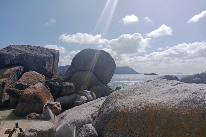 Cape Point & Seal Island Full-Day: Penguins, Cliffs and Two Oceans photo 5