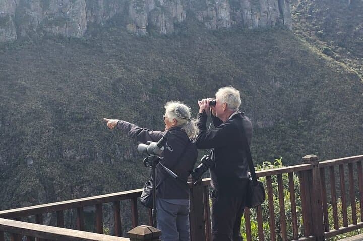 Antisana Condor Sanctuary: Day Trip from Quito to See Condors & Hummingbirds photo 2