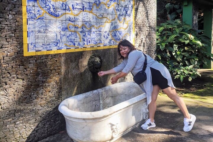 Jeep Adventure in Tijuca Forest: Rio de Janeiro Urban Jungle Tour photo 6