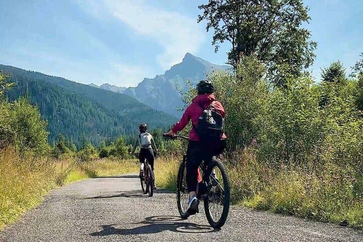 Cycling Bear Watching in the High Tatras: Podbanské Guided Day Tour photo 2