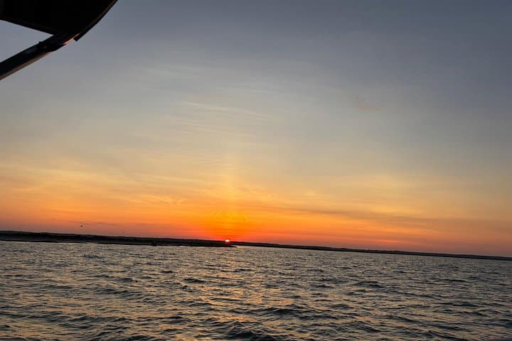 Chincoteague Wildlife Sunset Boat Tour — Wild Ponies, Dolphins & Birdlife photo 2